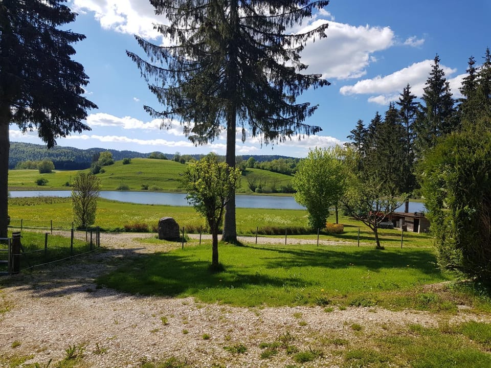 Lake view