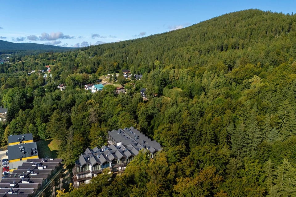 Bird's eye view, Mountain view