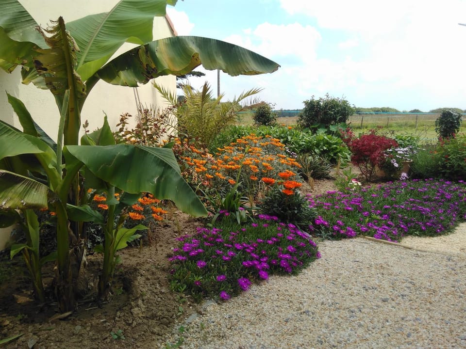 L'Ecume De Jade Vacation rental in La Plaine-sur-Mer