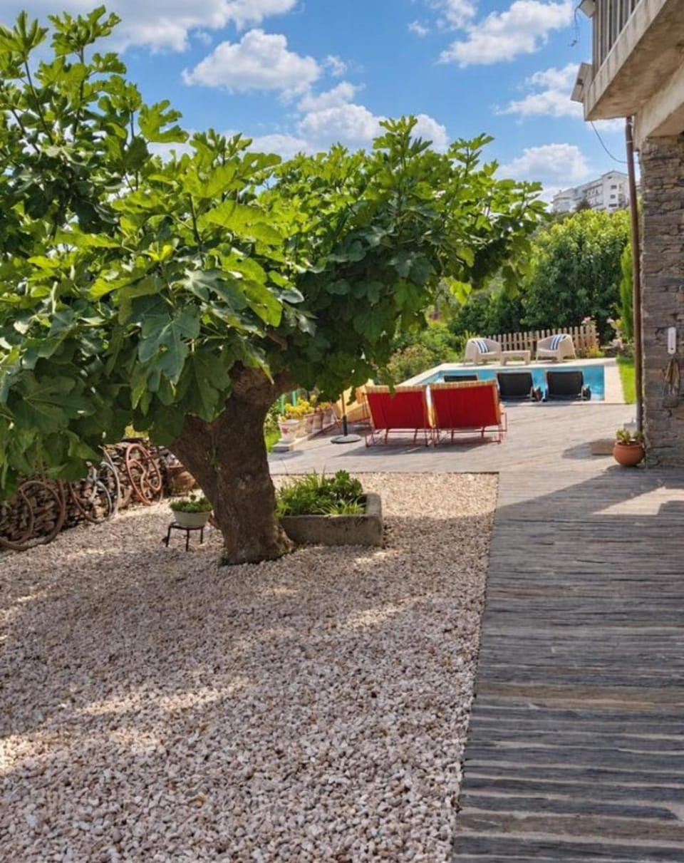 Refúgio no Douro Inn in Vila Real District