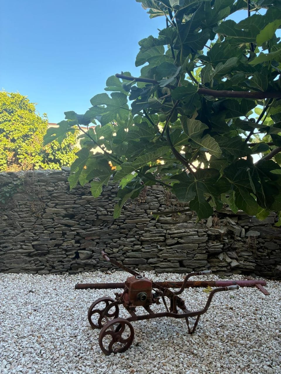 Refúgio no Douro Inn in Vila Real District