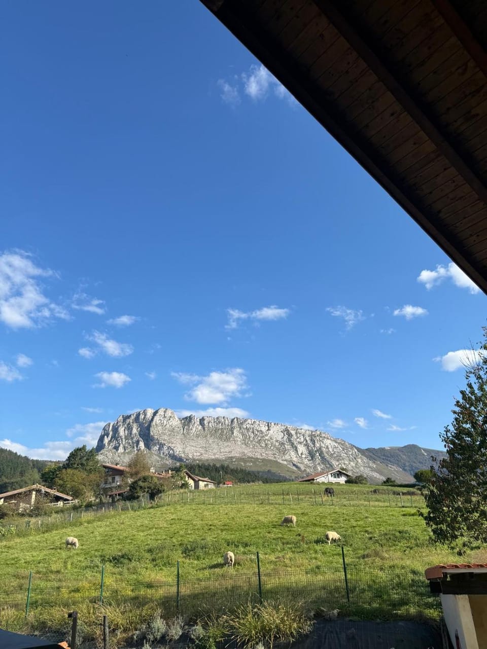 Garden view