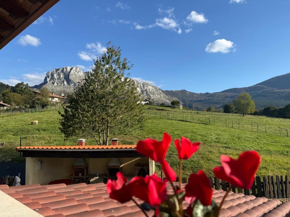 Mountain view