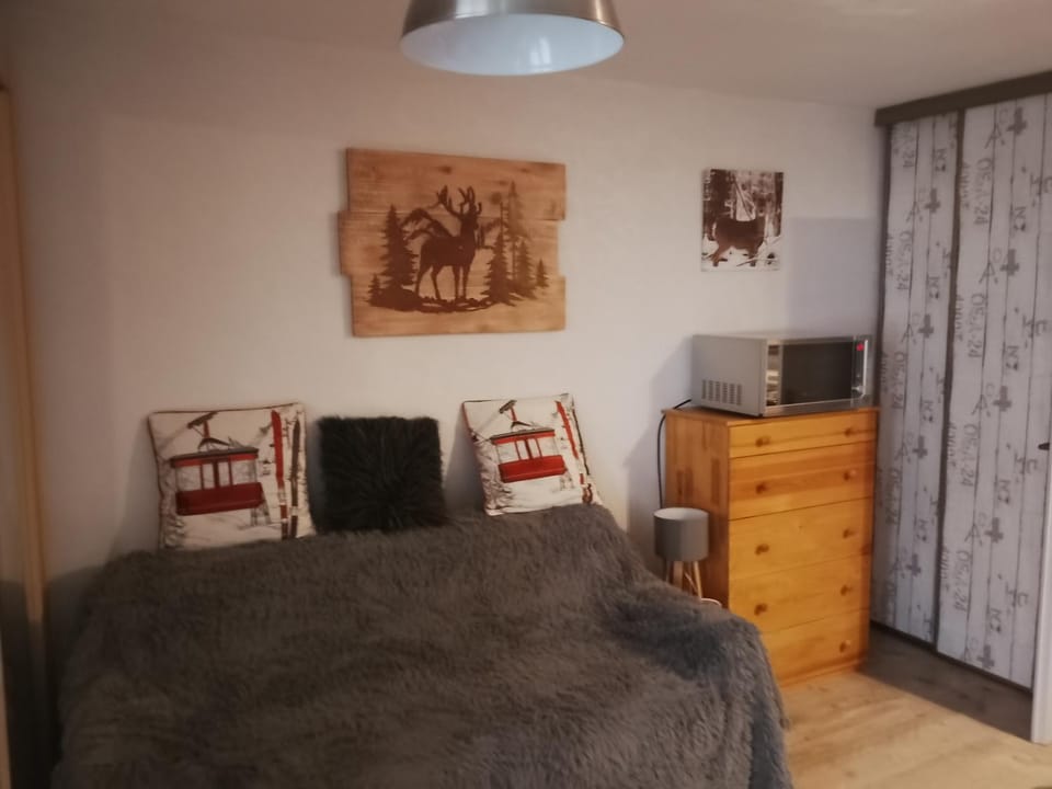 studio cabine résidence les Airelles 2 adultes 2 enfants parking casier à skis balcon vue lac --location toutes saisons-- Cabin in Occitanie