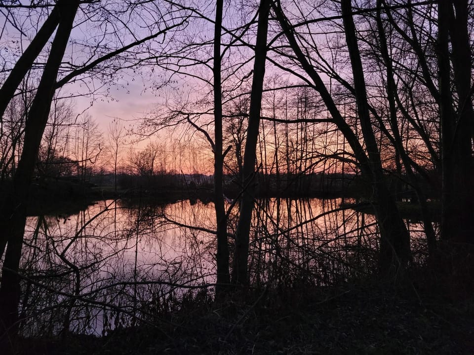 Natural landscape, Lake view, Sunset