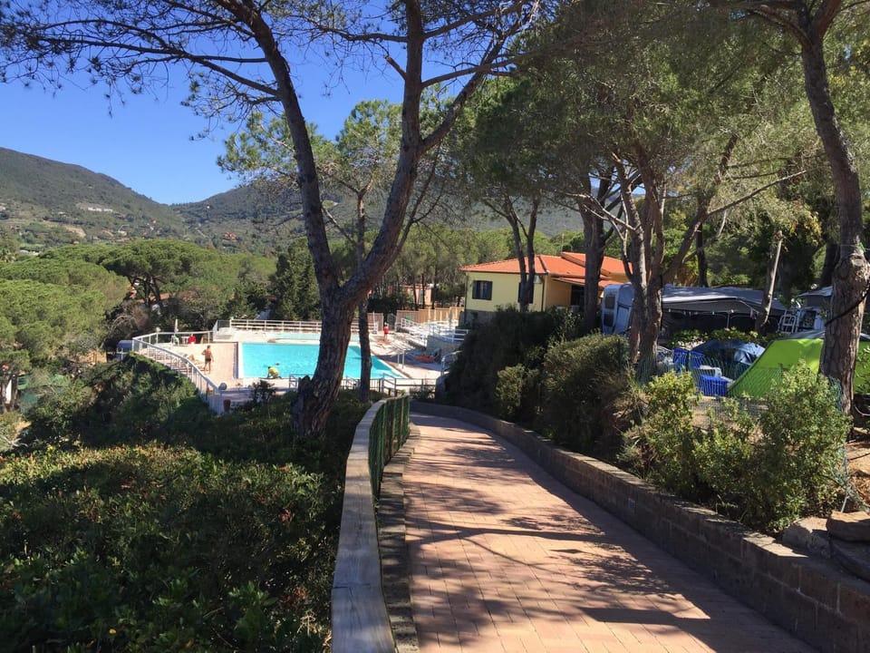 Pool view, Sea view