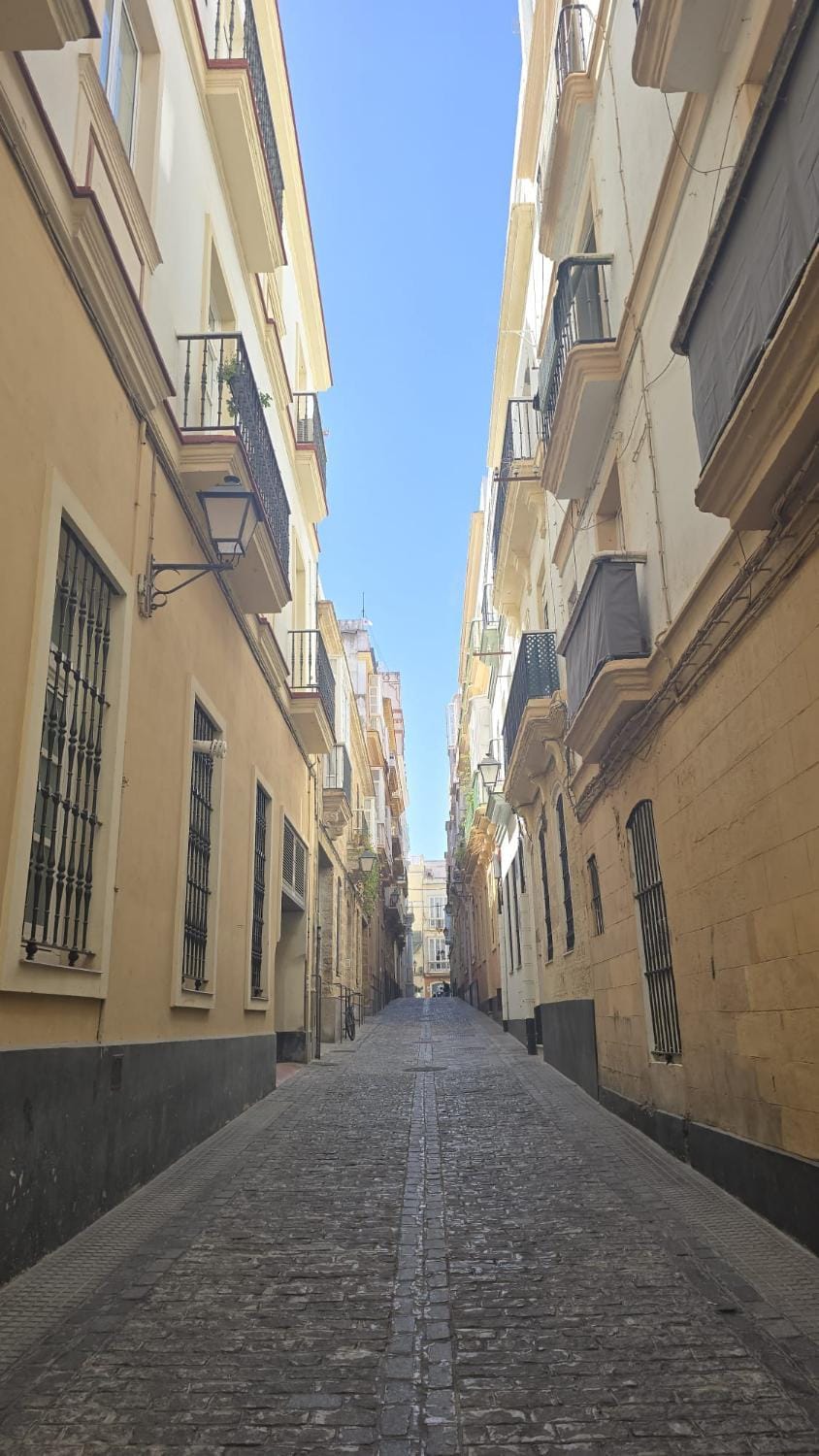 Quiet street view