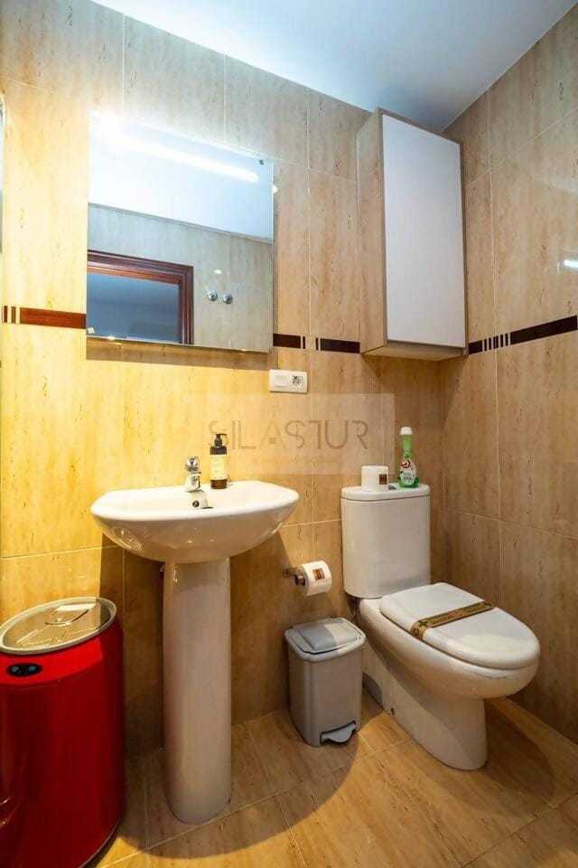 Alejandra By Silastur Apartment in Gijón