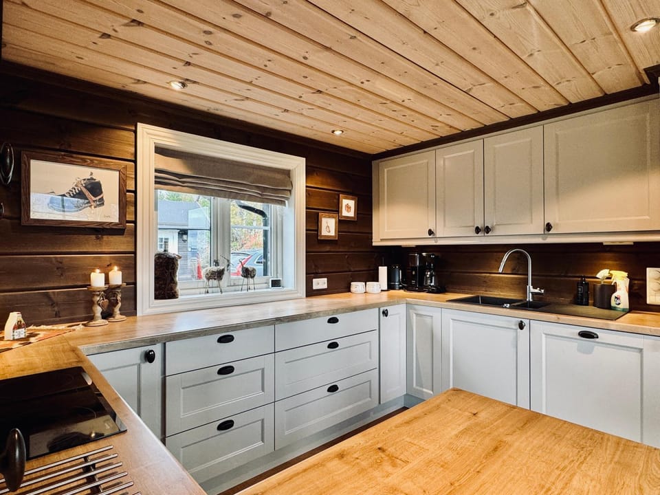 Kitchen or kitchenette, dishwasher, stove