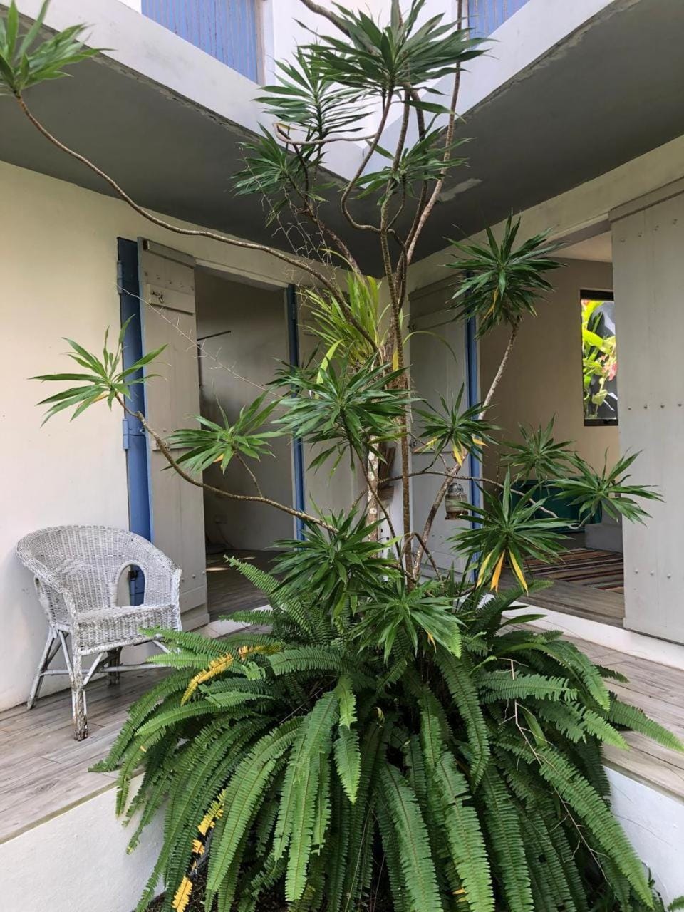 Patio, Garden, Garden view