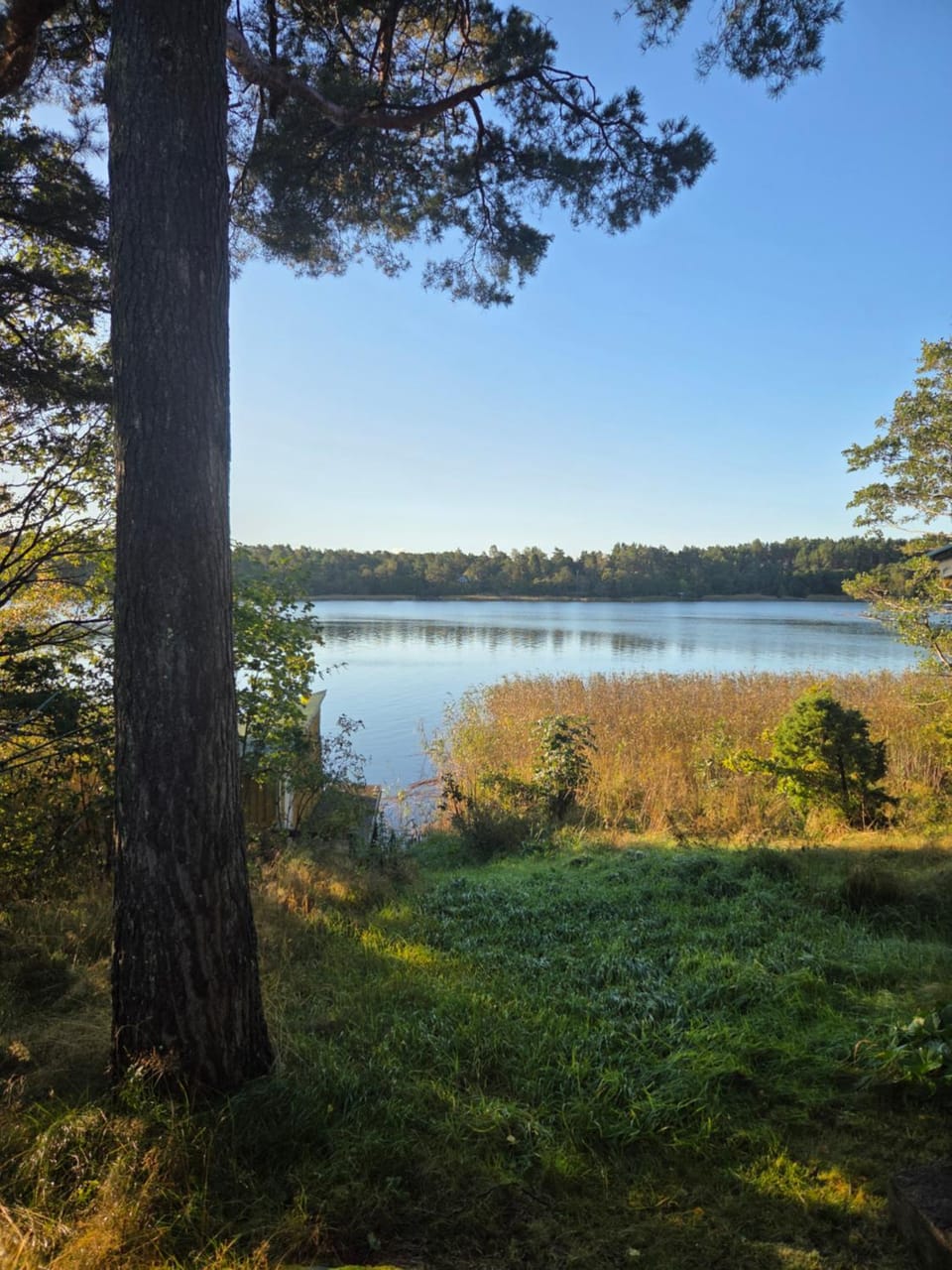 Lake view