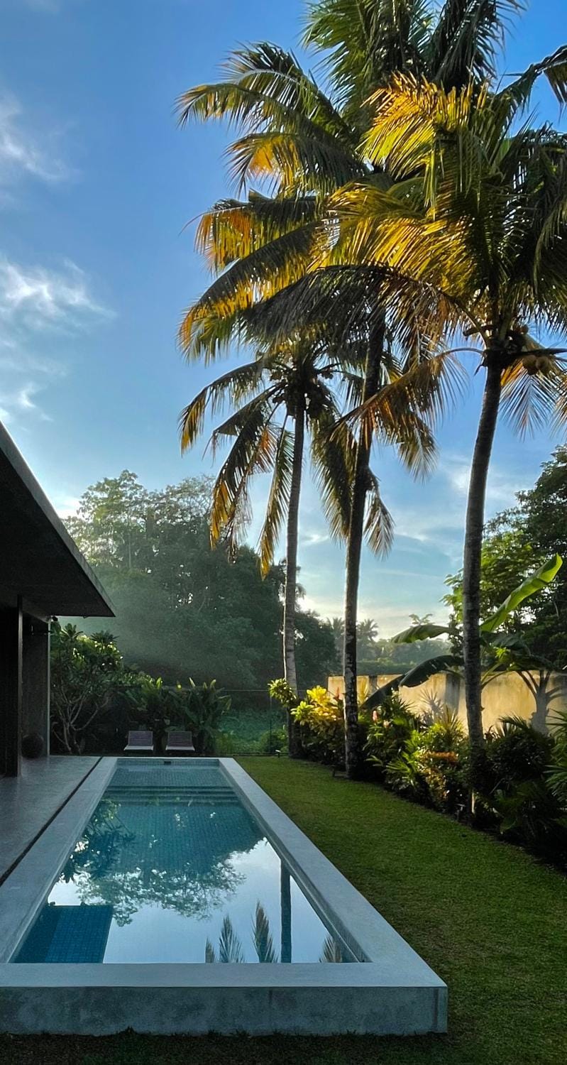 Garden, Garden view, Swimming pool