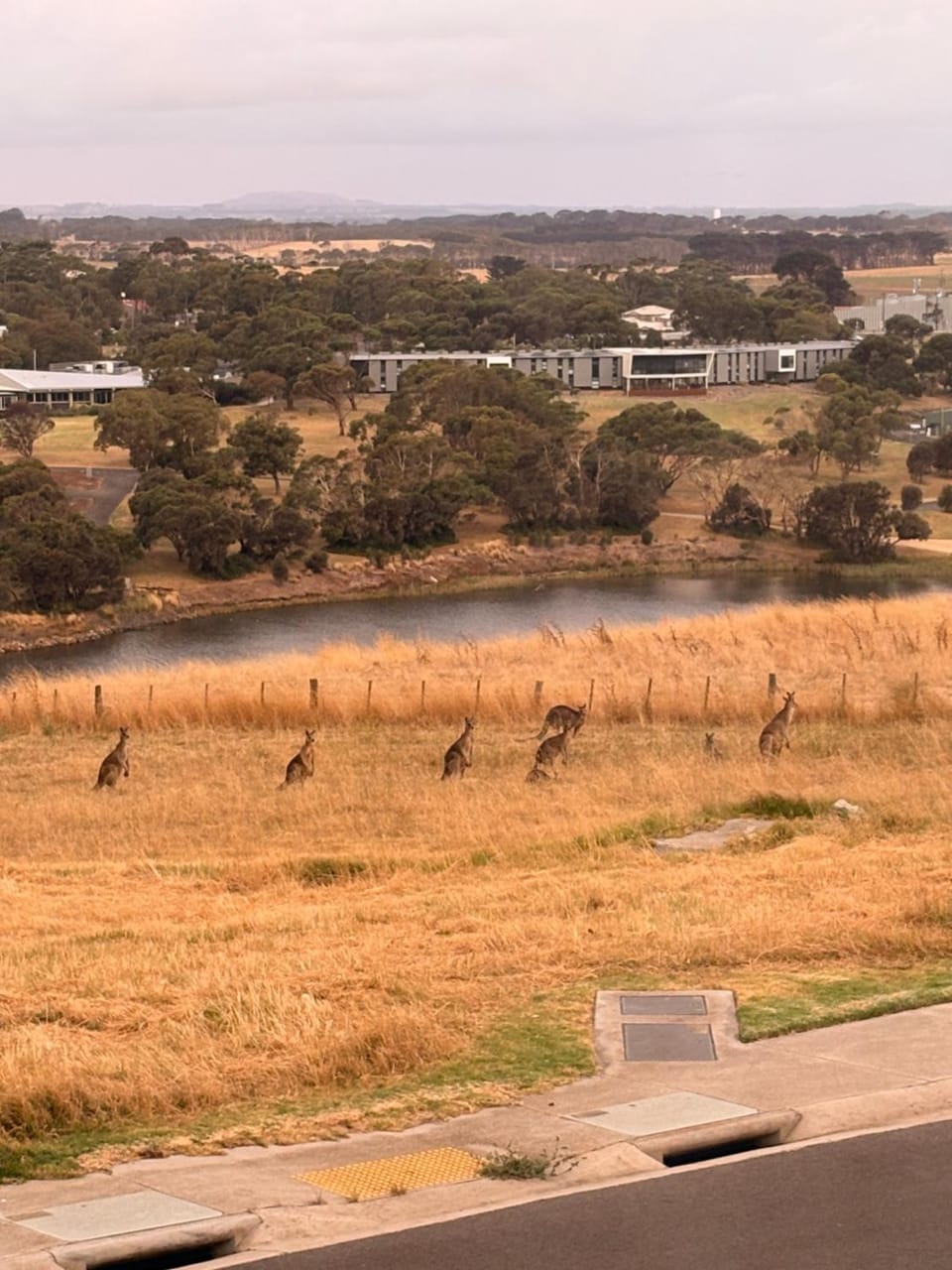 Brand New Beach Escape House in Warrnambool