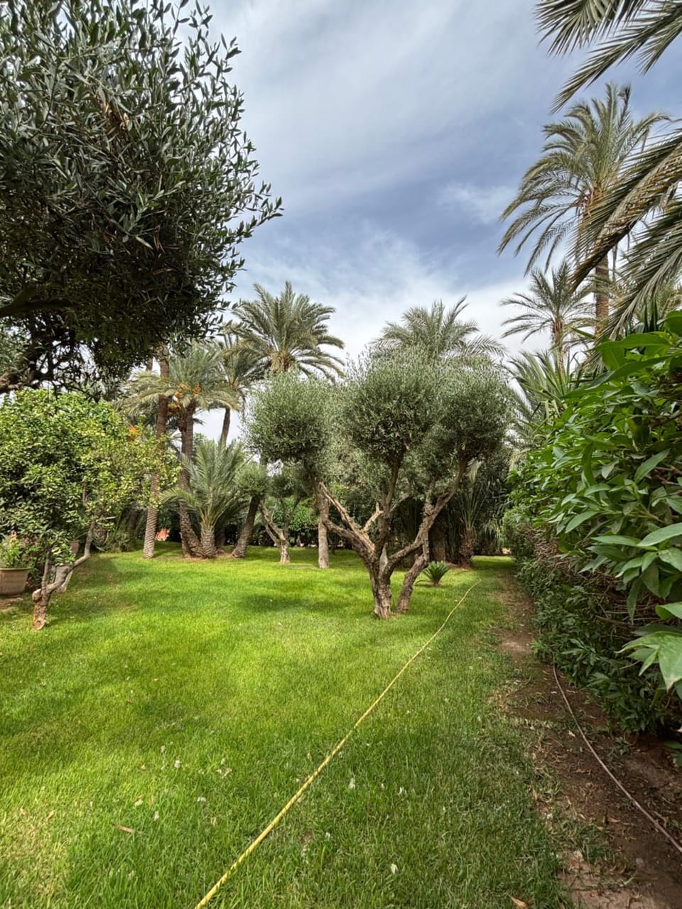 Palmeraie village , lieu exceptionnel avec jardin et piscine Apartment in Marrakesh
