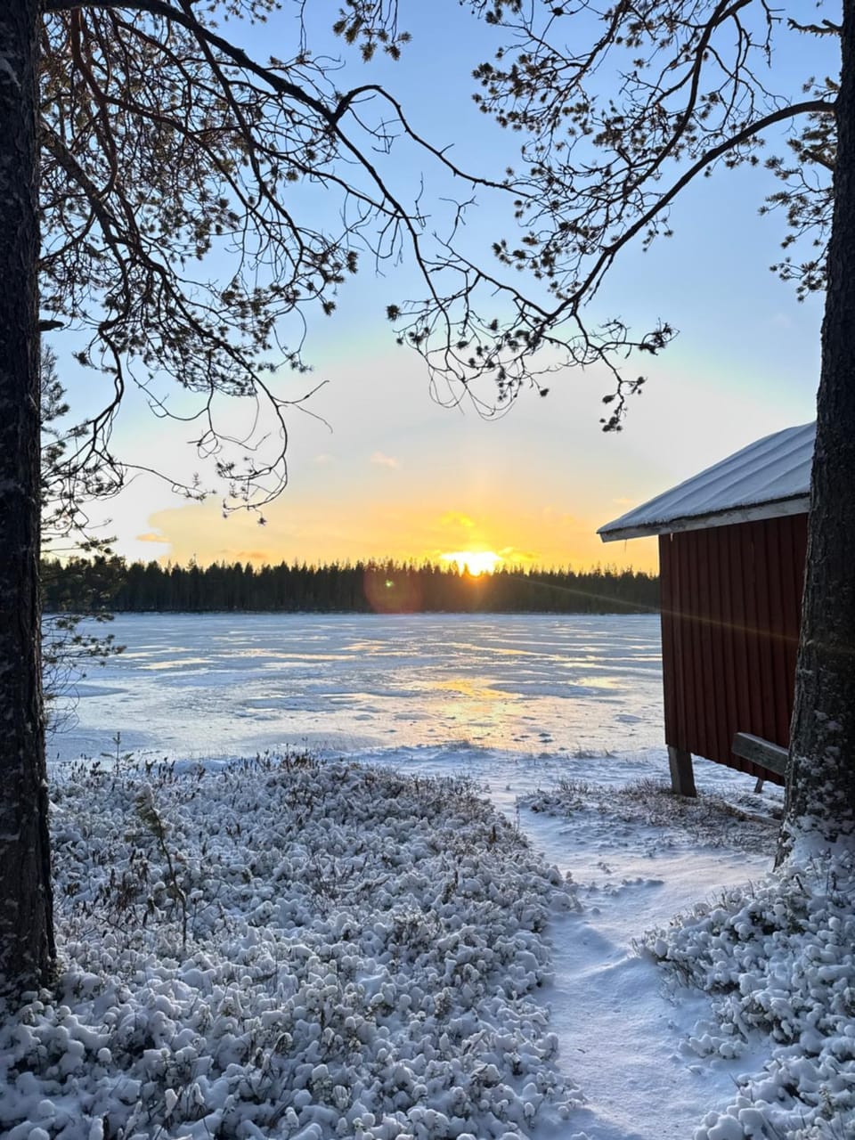 Aurora Wilderness-Kuorikki Apartment in Lapland