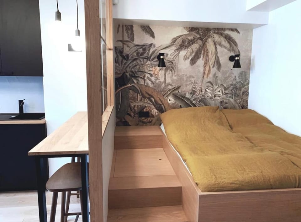 Architect Studio Apartment in Paris