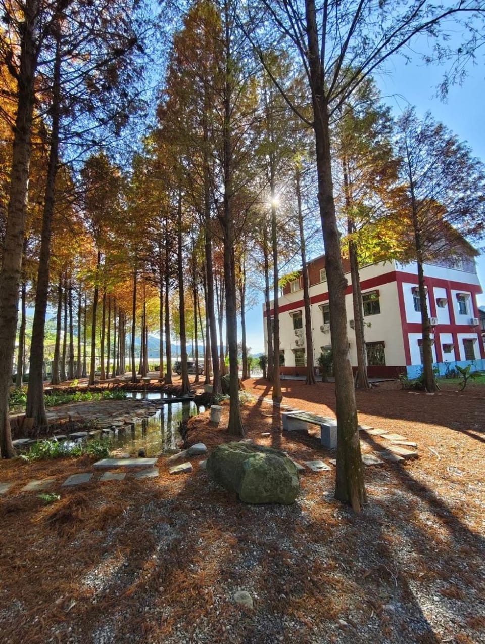 Natural landscape, Garden, Garden view