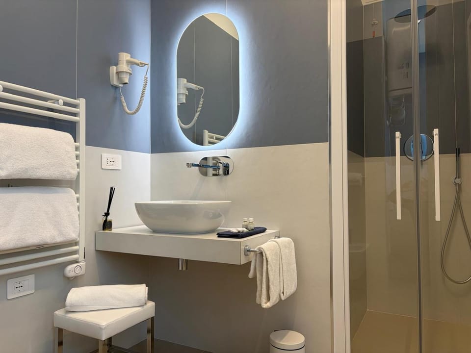 Shower, hair dryier, towels