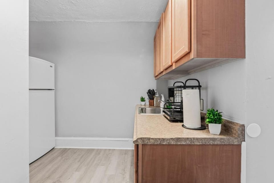 King Bed 2 TVs Fast Wifi Pet Friendly! Apartment in Cleveland Heights