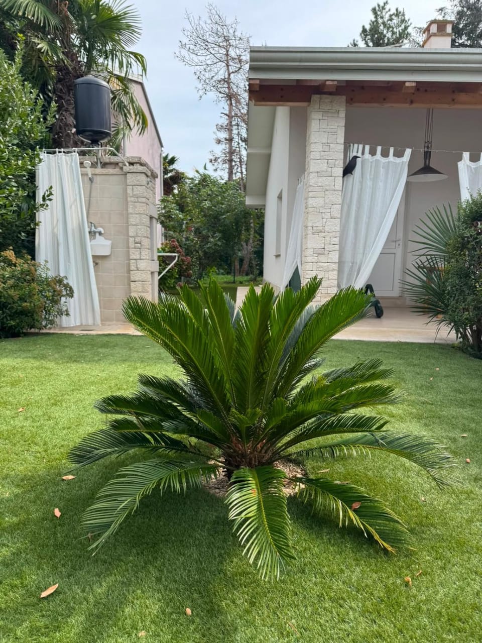 Garden, Garden view