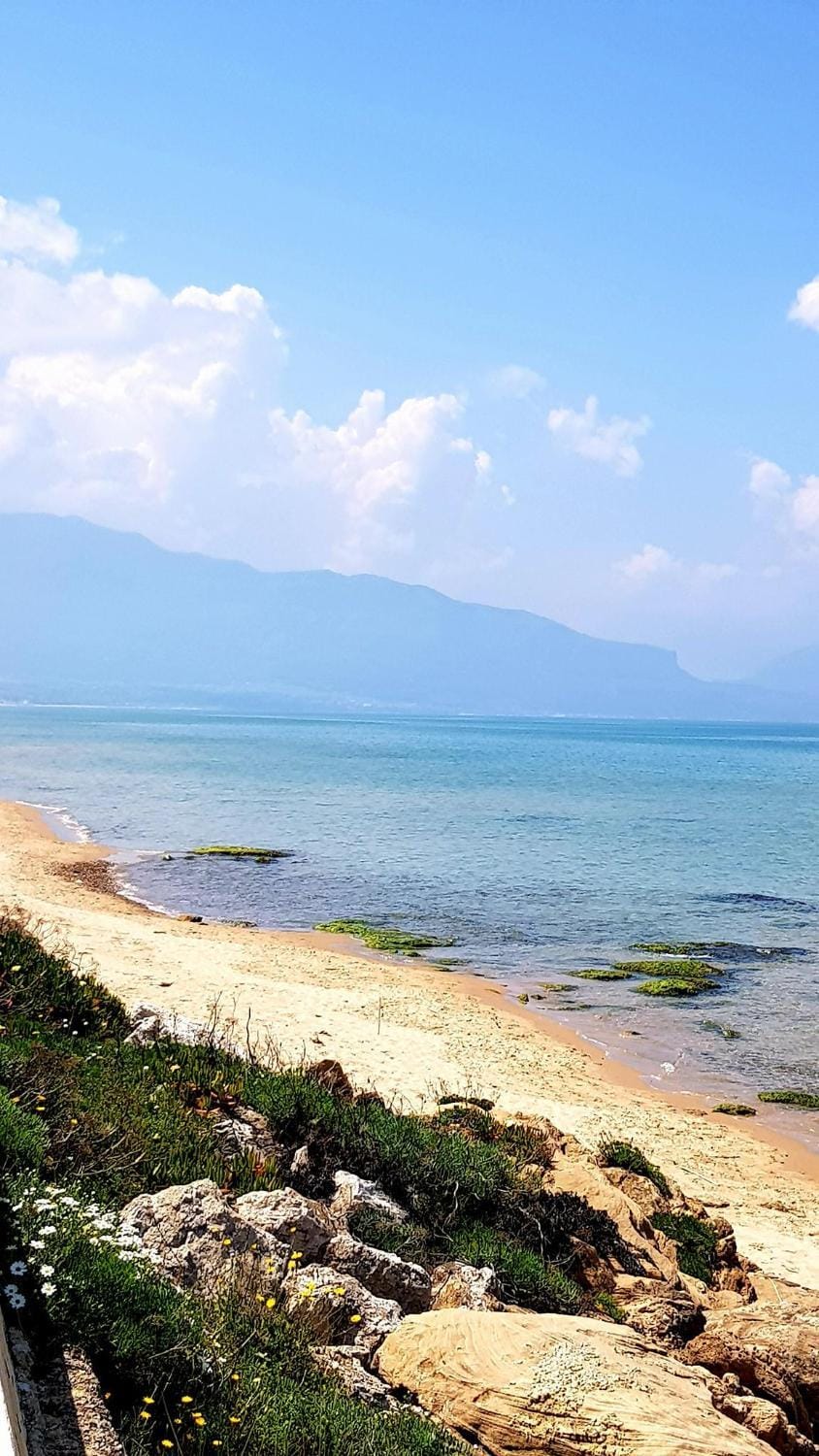 Other, Beach, On site