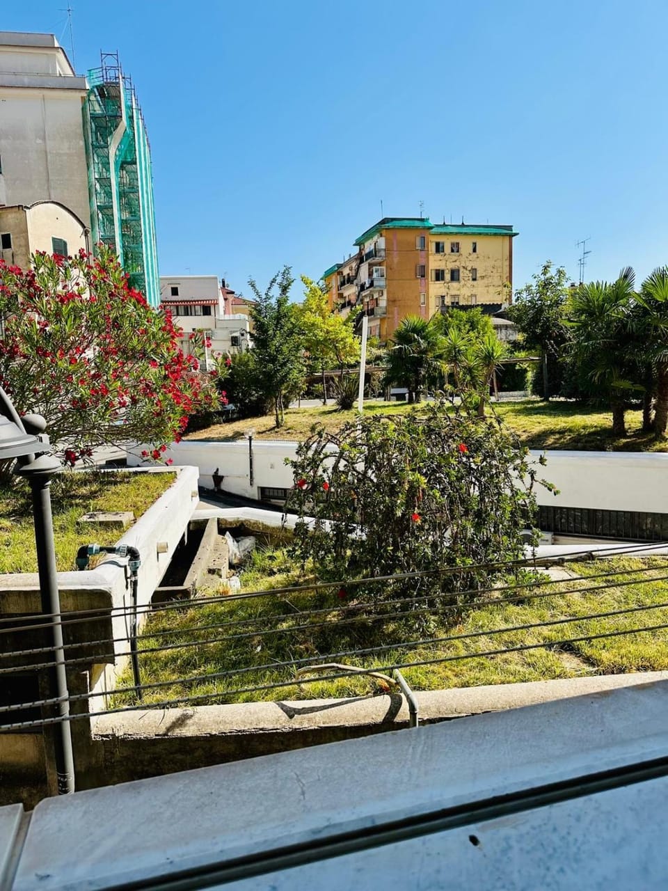 Property building, Natural landscape, Garden view