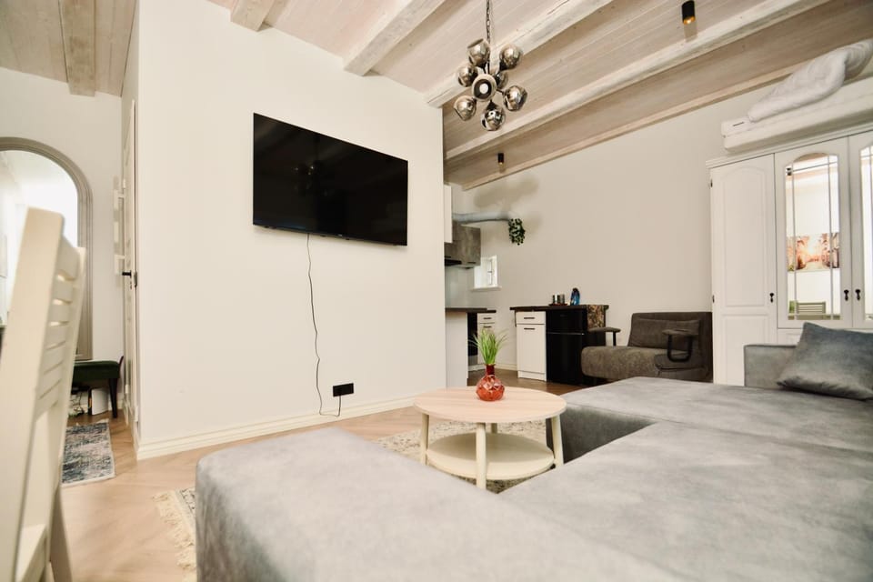 TV and multimedia, Kitchen or kitchenette, Living room, Photo of the whole room, Seating area, Dining area