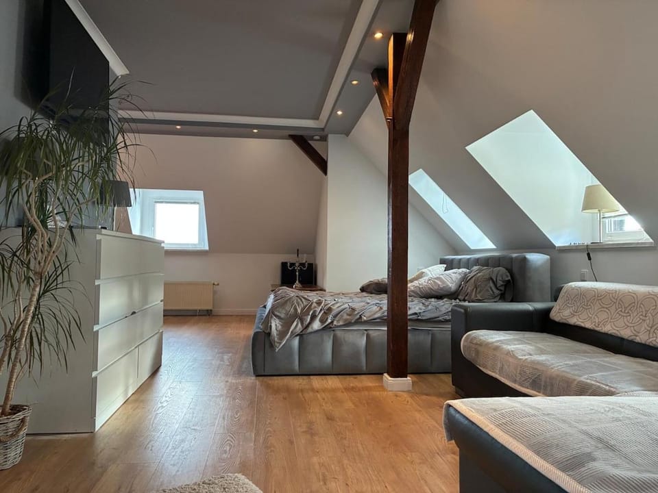 Attic apartment in a listed villa Apartment in Erzgebirgskreis