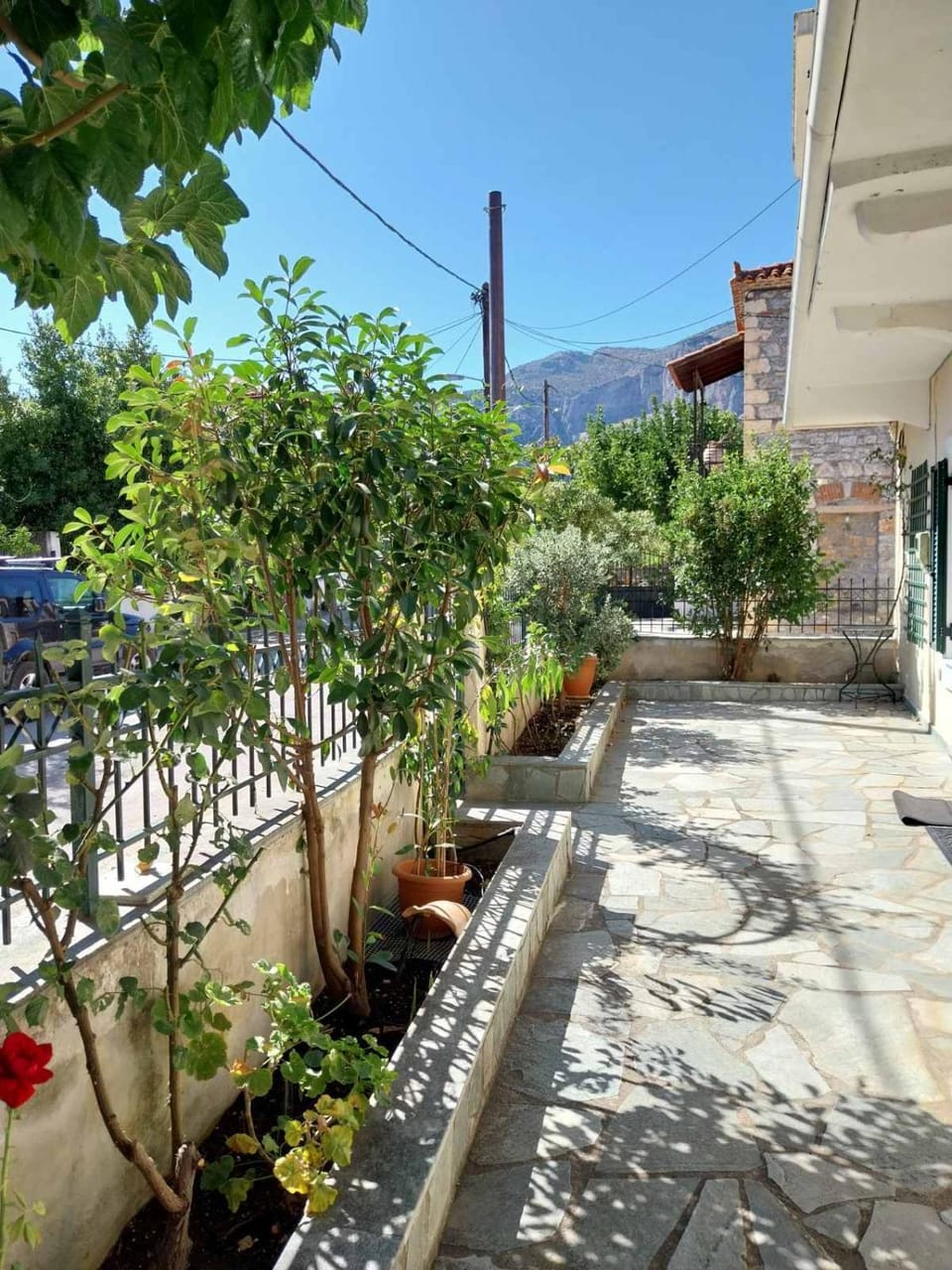 Property building, Garden