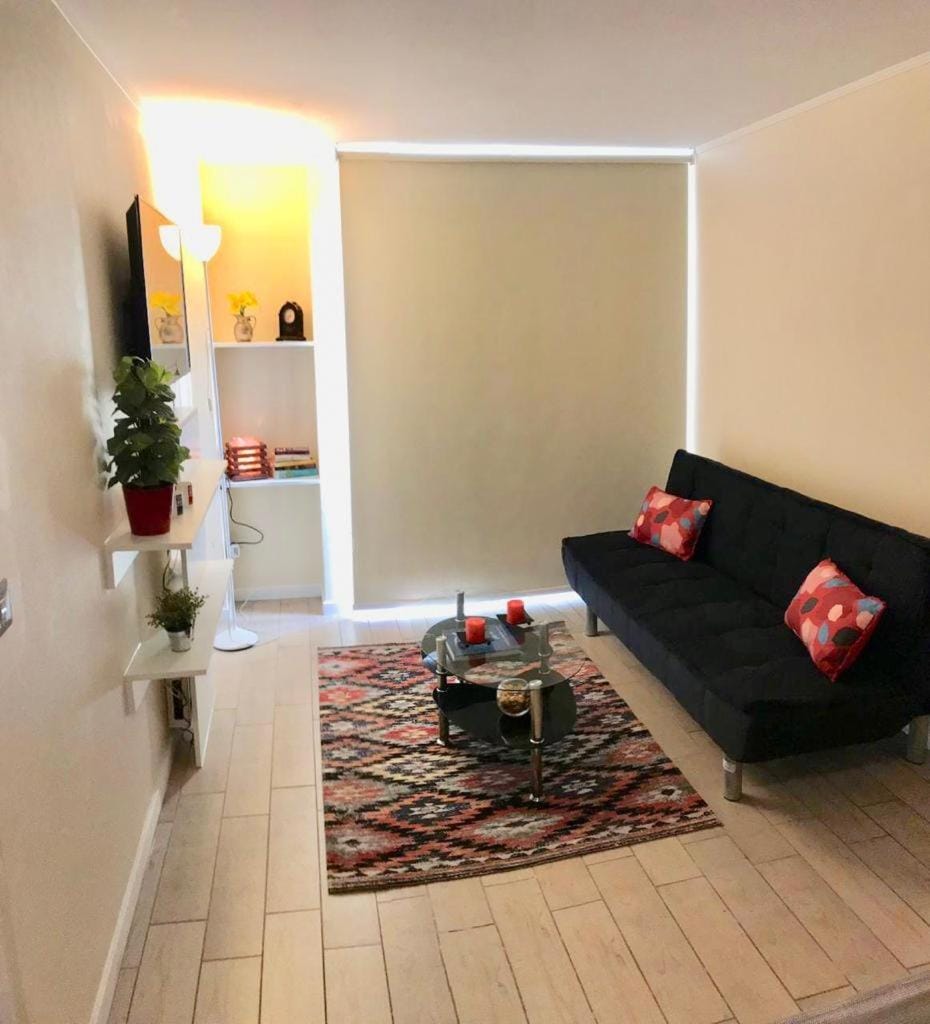 Acogedor Departamento en Santiago Centro Apartment in Recoleta