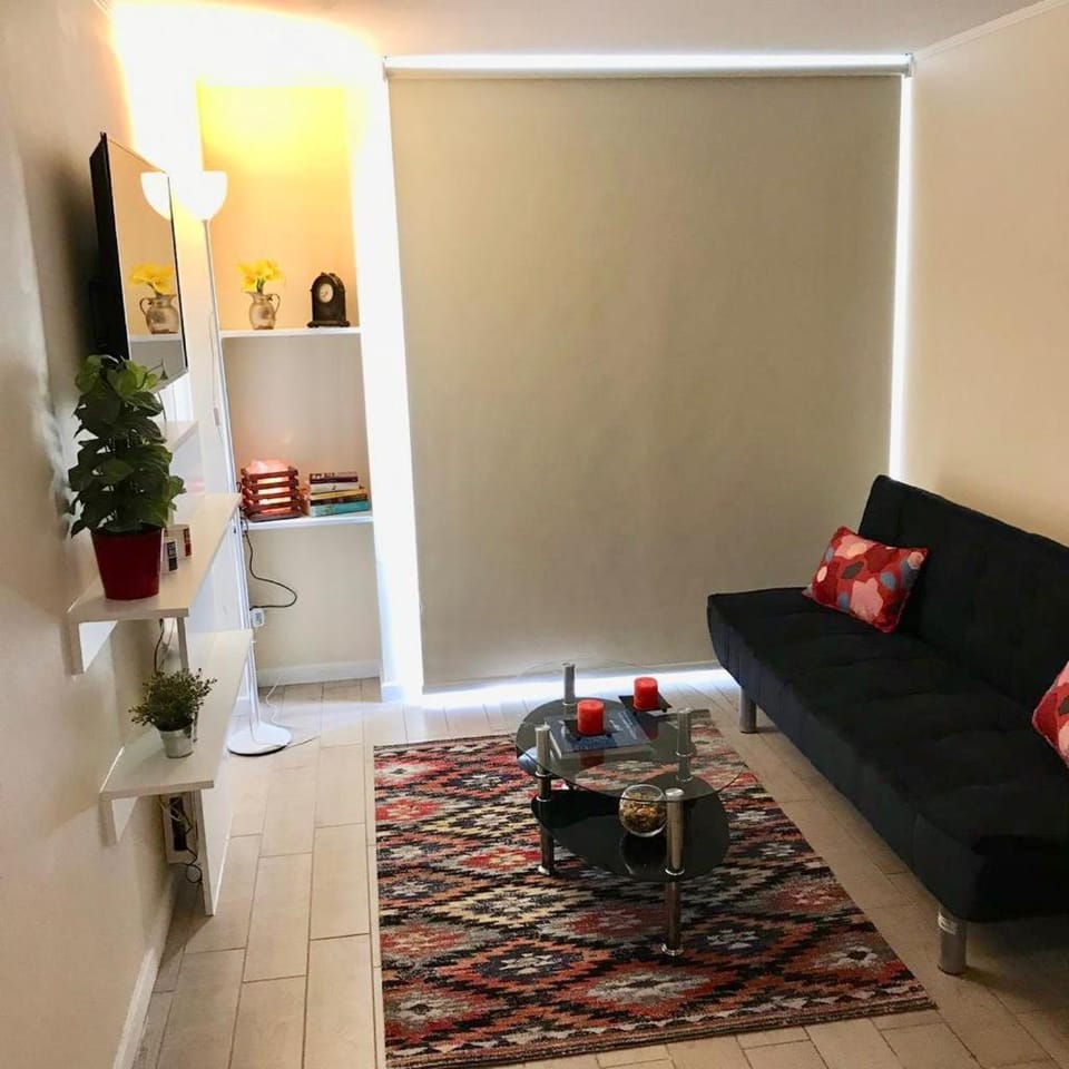 Acogedor Departamento en Santiago Centro Apartment in Recoleta