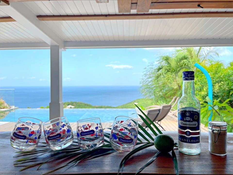 Natural landscape, View (from property/room), Balcony/Terrace, Lounge or bar, Sea view, Drinks