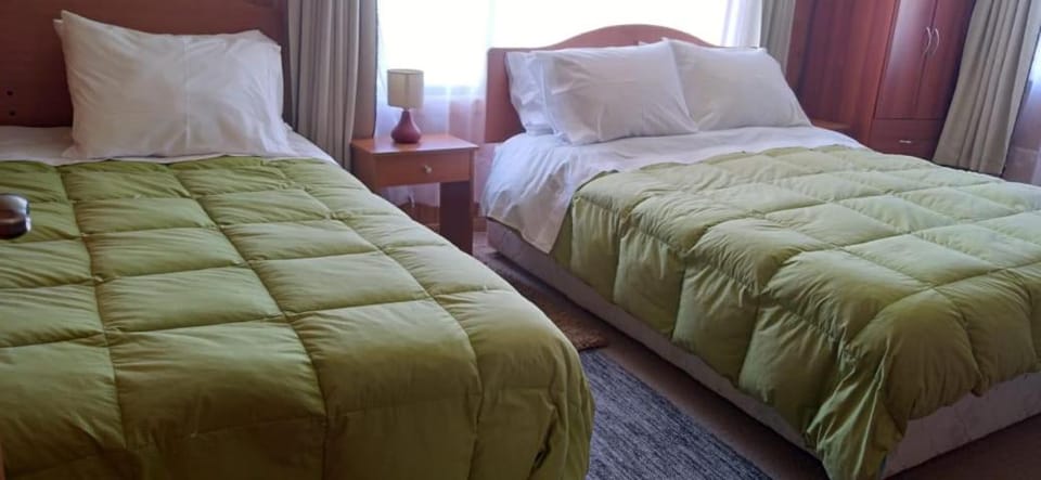 Hospedaje Ayelen Bed and Breakfast in Los Lagos, Chile