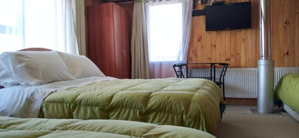 Hospedaje Ayelen Bed and Breakfast in Los Lagos, Chile