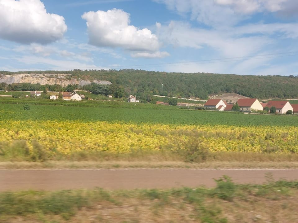 Casa La Foppa 28 Apartment in Nidwalden