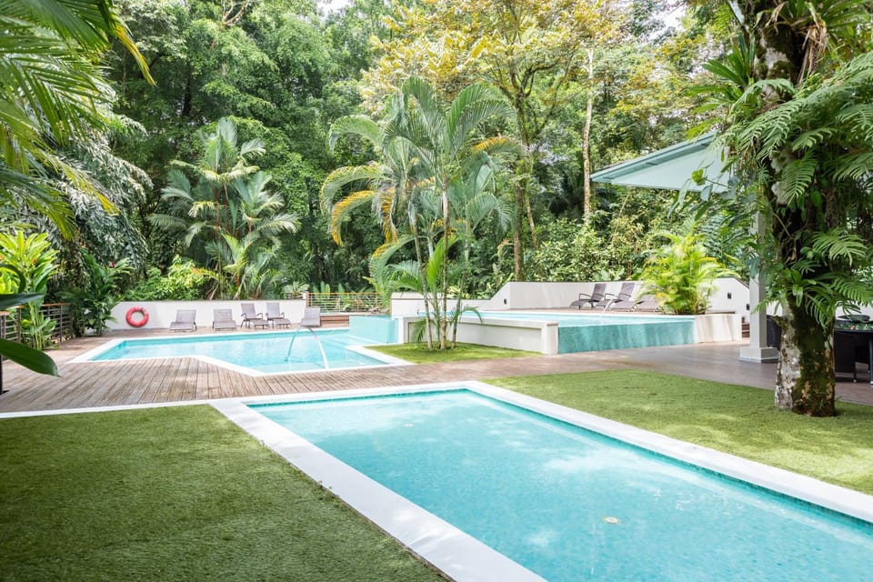 Garden, Swimming pool, Swimming pool