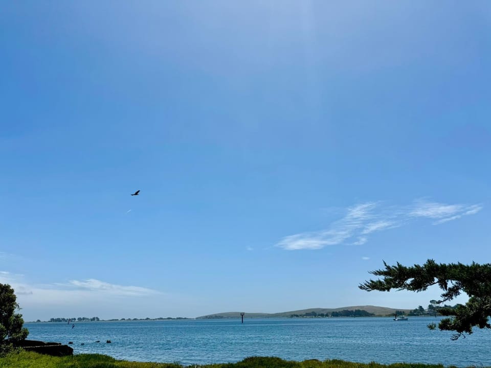 Natural landscape, Sea view