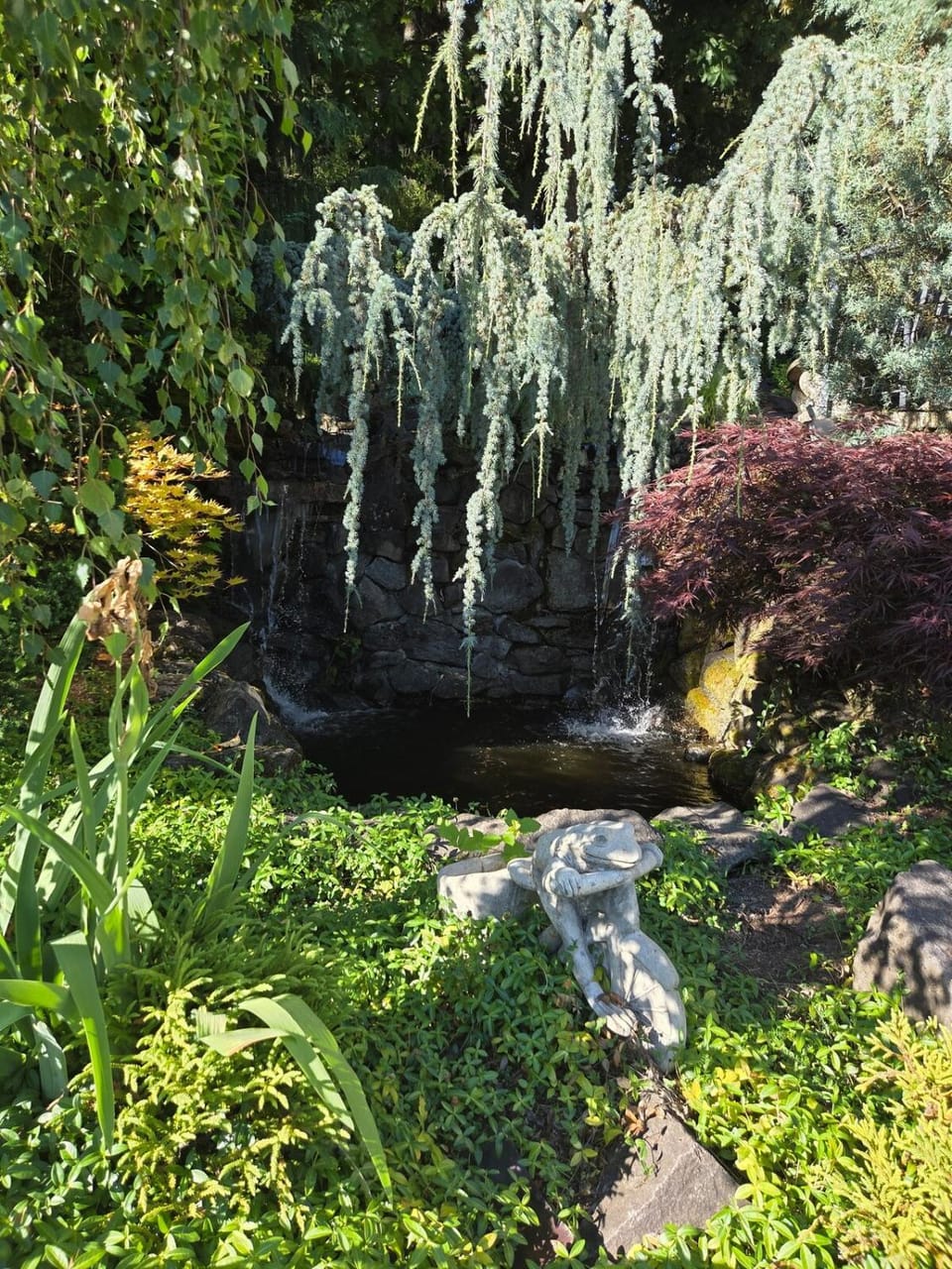 Natural landscape