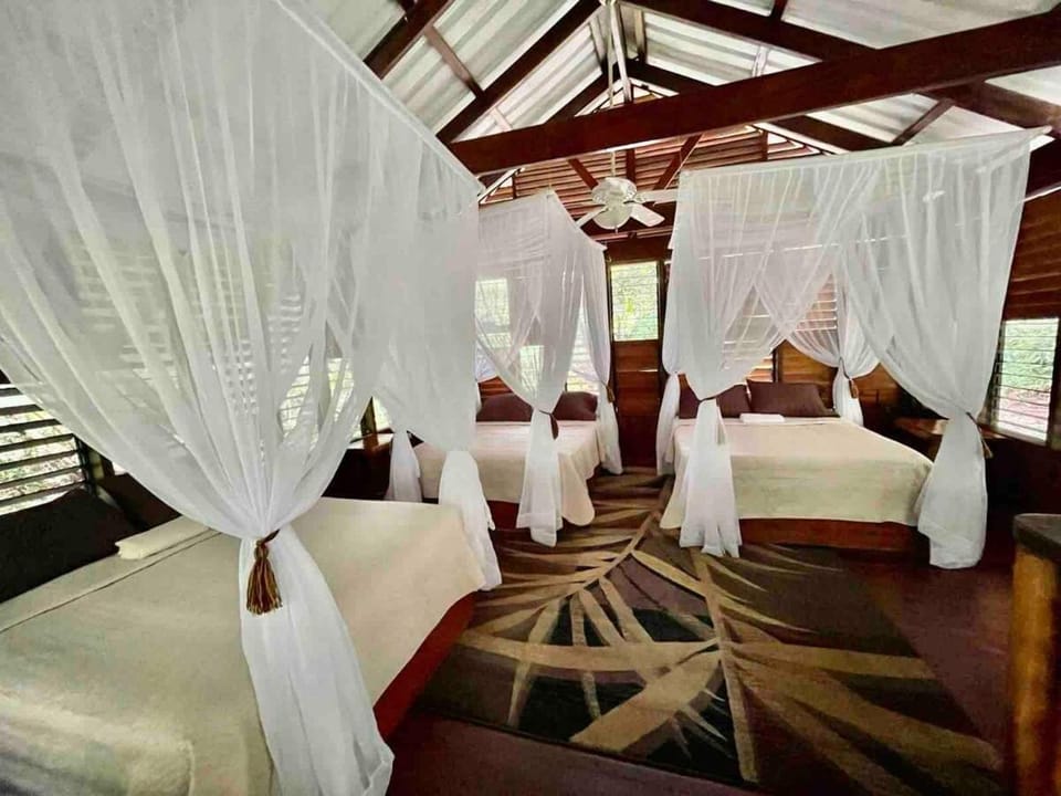Wildlife Oasis Surf, Rainforest, Animals House in Puntarenas Province