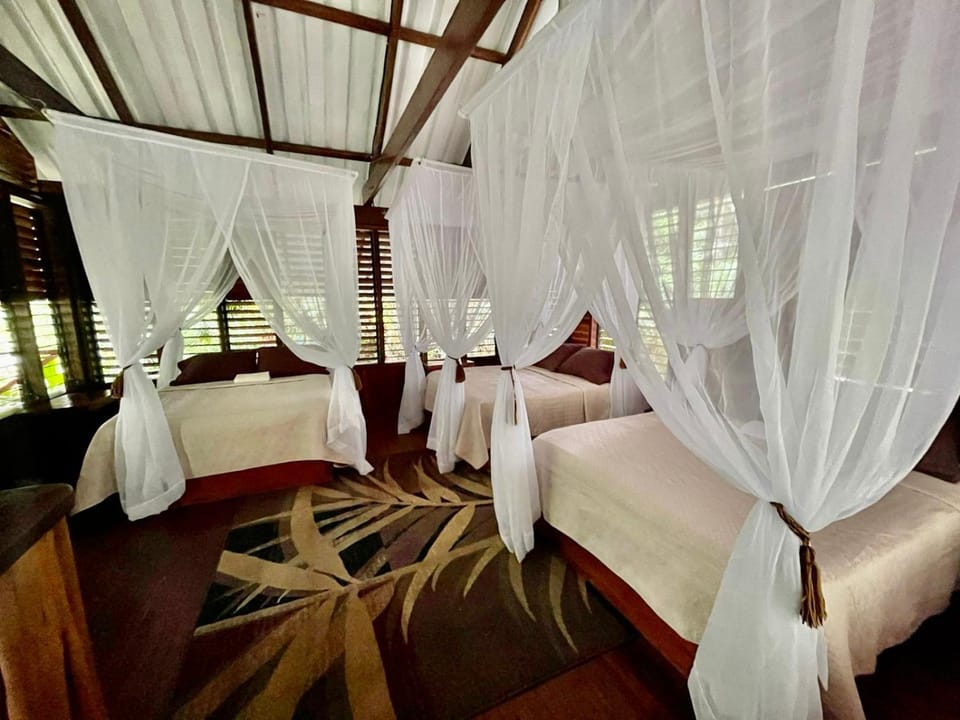 Wildlife Oasis Surf, Rainforest, Animals House in Puntarenas Province