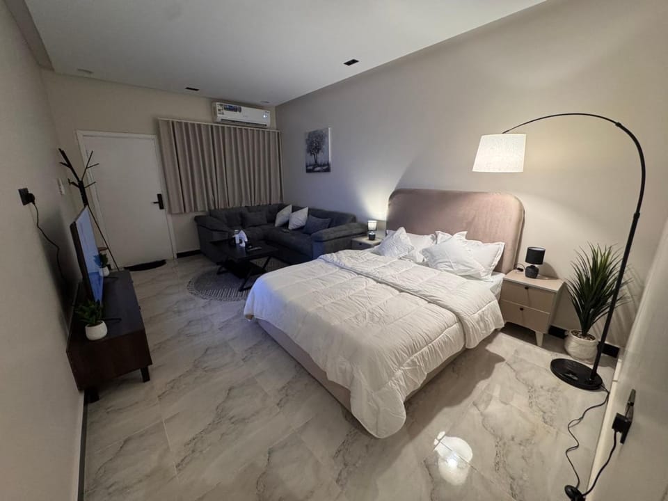 Bed, TV and multimedia, Living room, Photo of the whole room, Seating area, Bedroom, air conditioner
