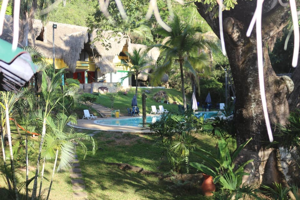 Garden, Lobby or reception, Garden view