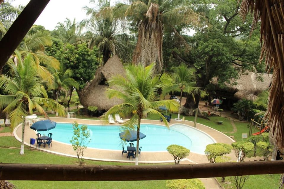 Day, Pool view, Swimming pool, Swimming pool