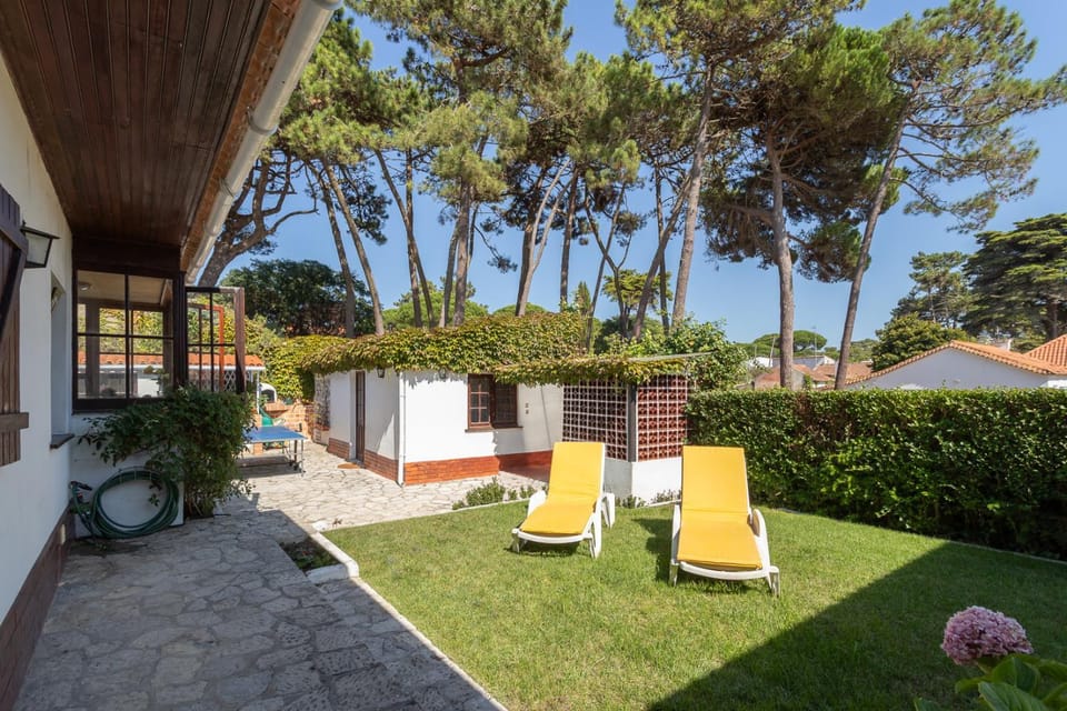 Patio, Garden, Garden view, sunbed