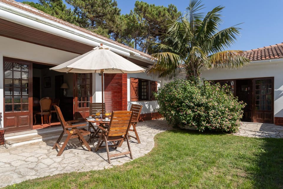 Patio, Garden, Dining area, Garden view