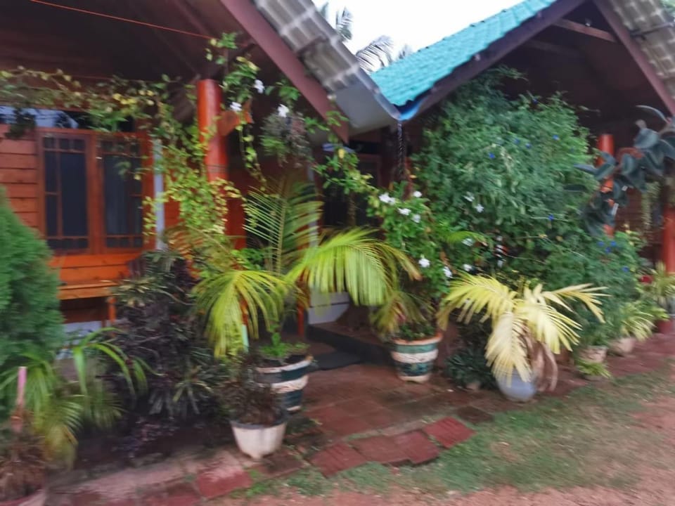 Property building, Garden, Garden view
