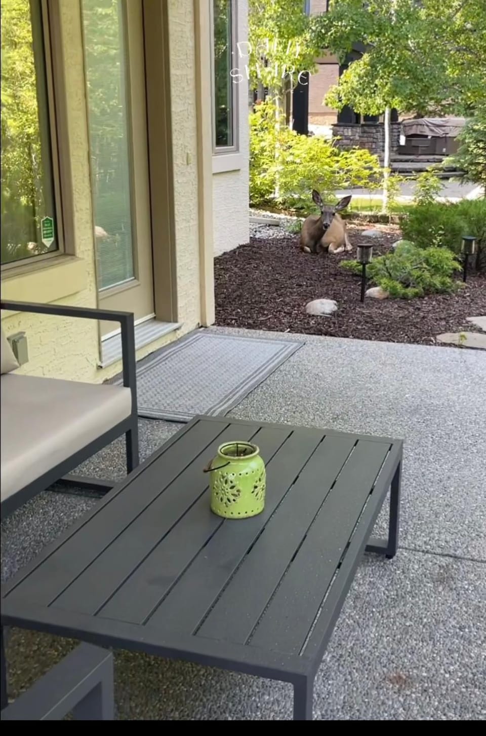 Patio, Garden view