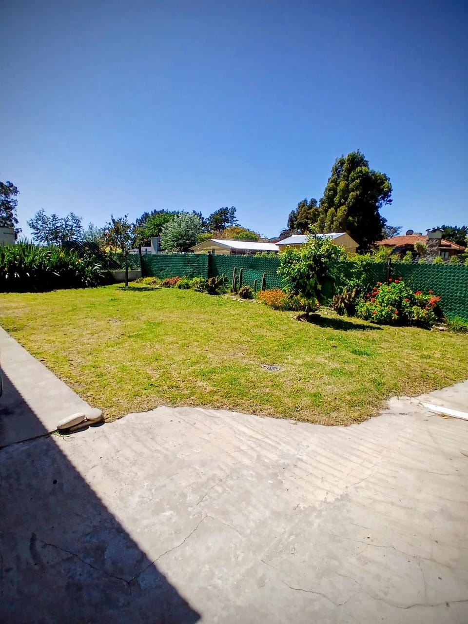 Day, Natural landscape, Garden, Garden view