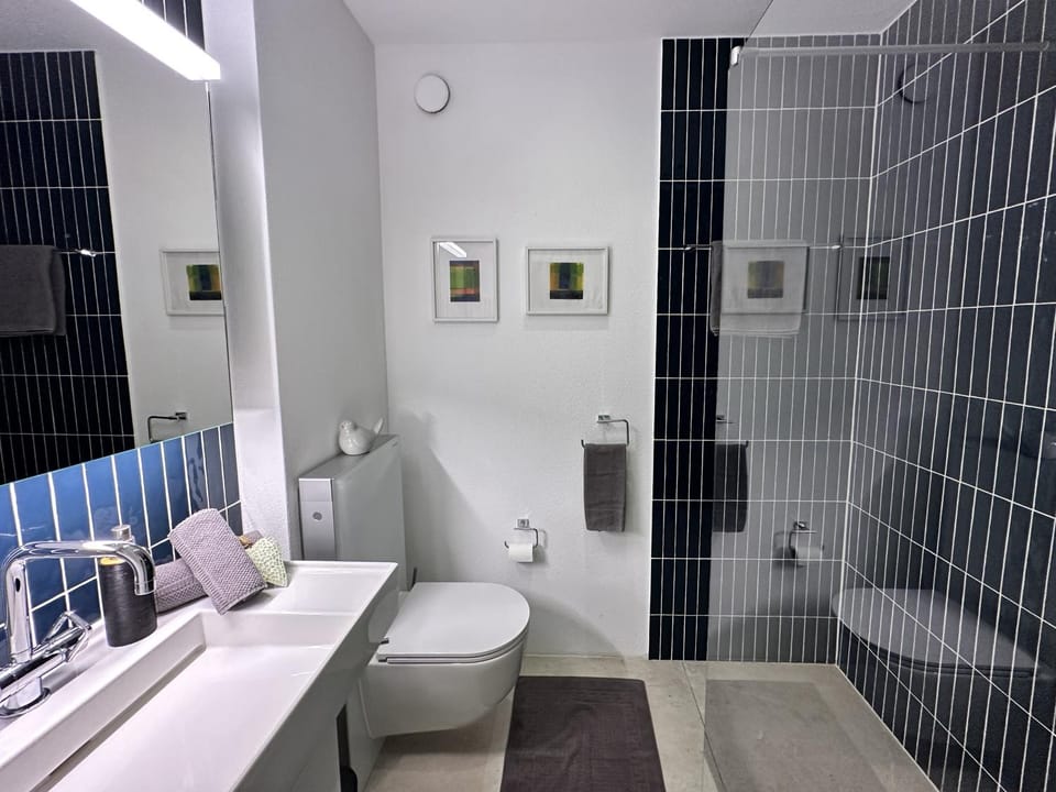 Palme 004 by Fewotessin Apartment in Locarno