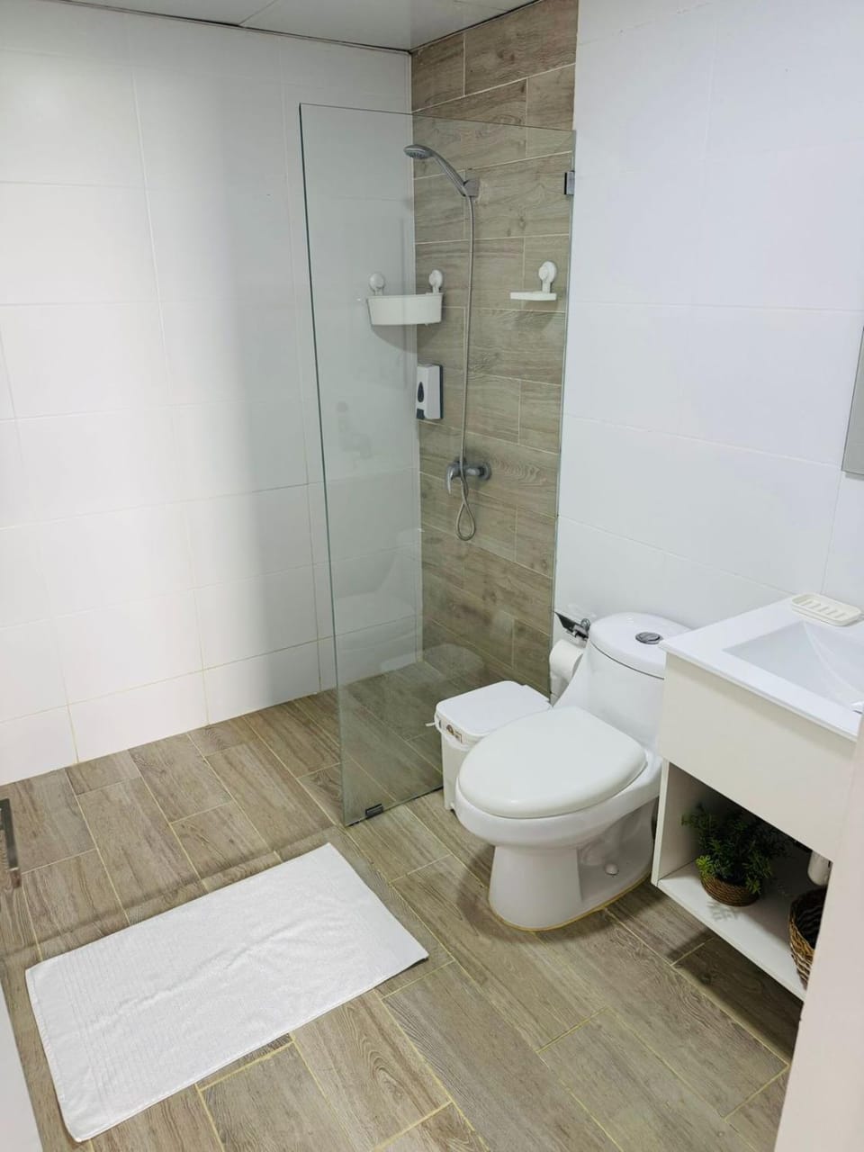 Shower, Bathroom